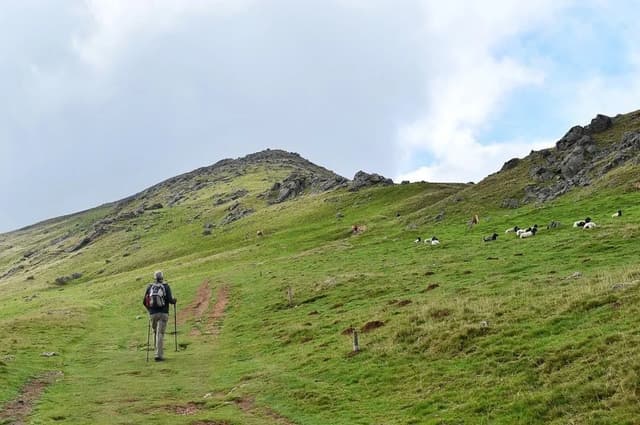 /static/images/camino-pirineos/camino-pirineos-1.jpeg