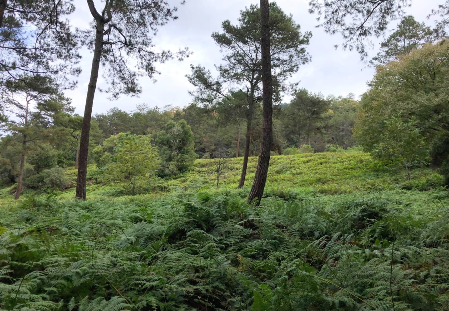 exploration-nakanosen-imusu-ivahu